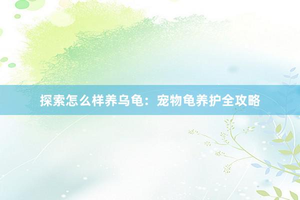 探索怎么样养乌龟：宠物龟养护全攻略